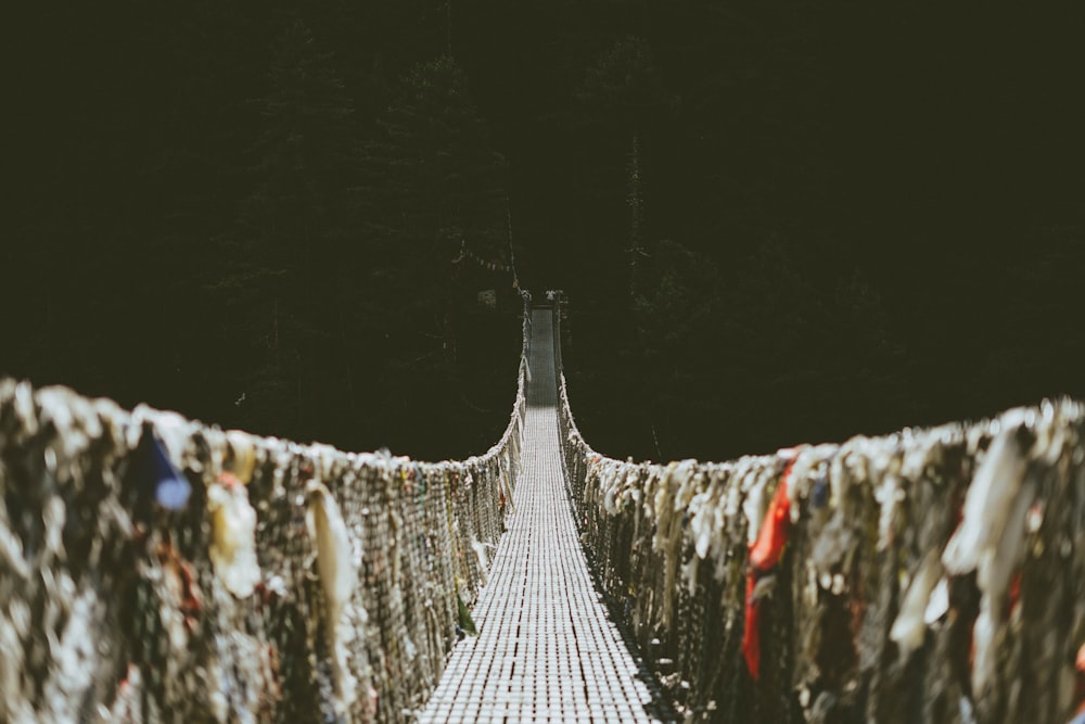 hanging bridge selective focus photography