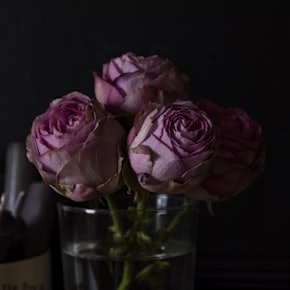 four purple rose flowers on clear glass vase