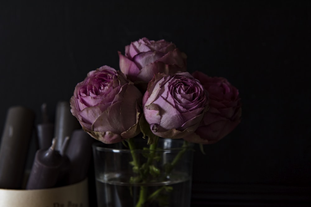 four purple rose flowers on clear glass vase