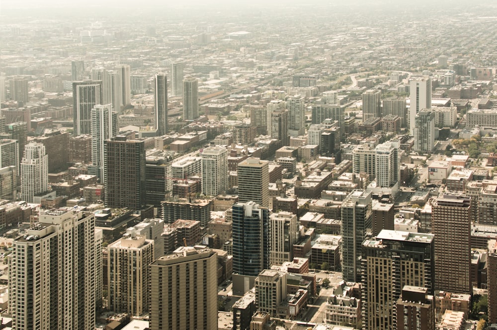 high rise buildings at daytime