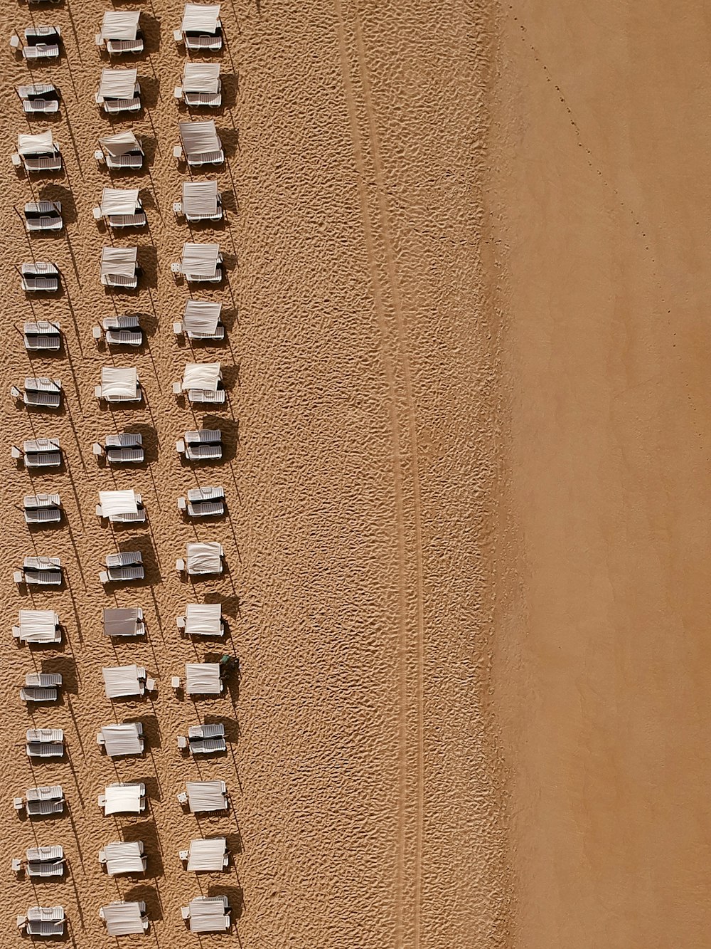 aerial photography of sunloungers