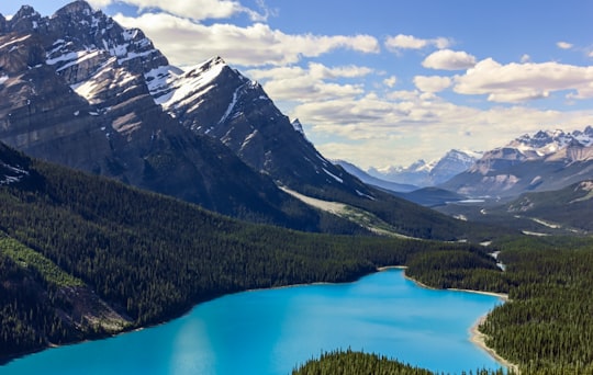lake surrounded by trees near mountains in Peyto Lake Canada