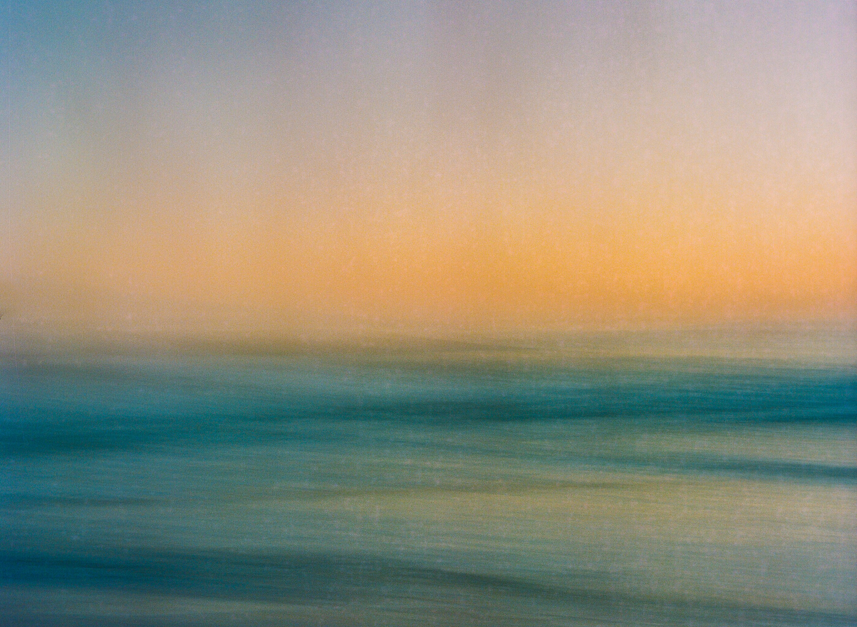 The Umami Paradox: Why Western Cooking Took So Long to Embrace the Fifth Taste