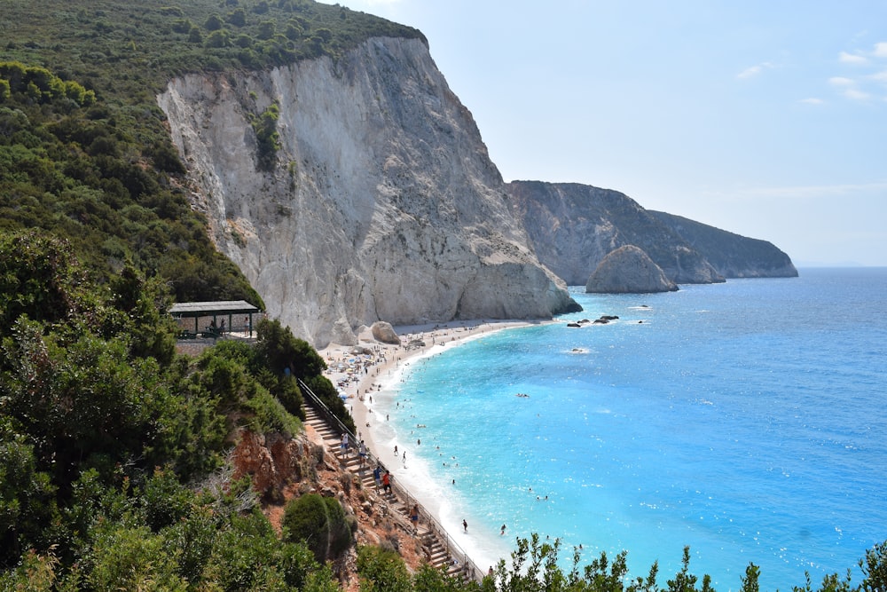 beach shore during daytime