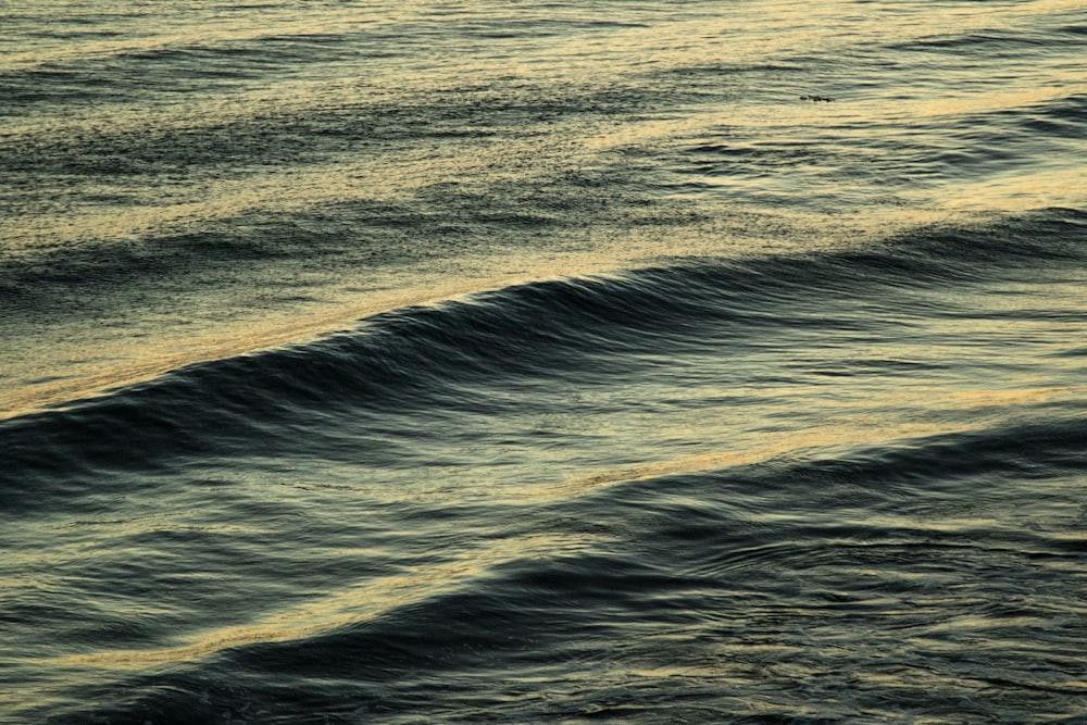 body of water with waves