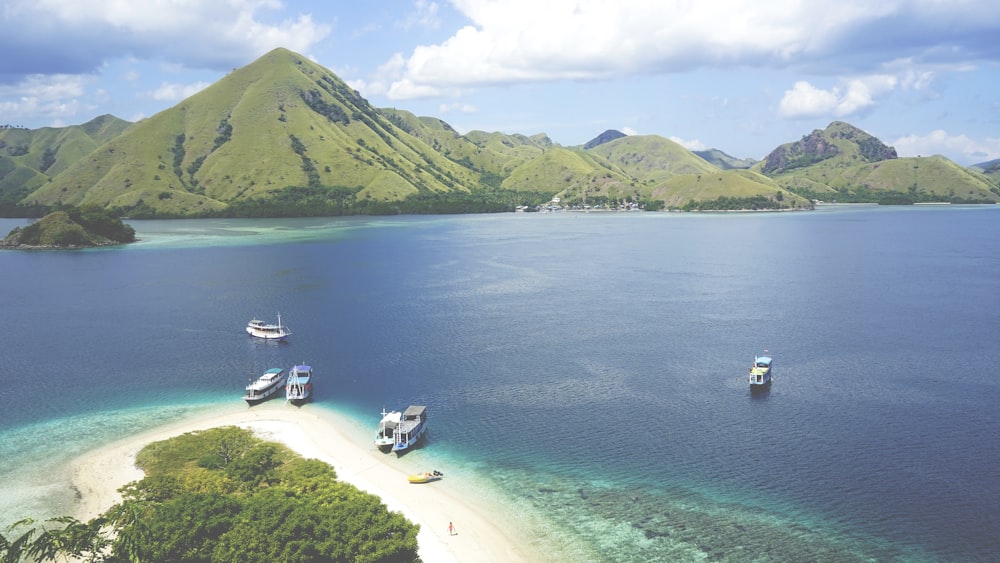 five white boats on body of water