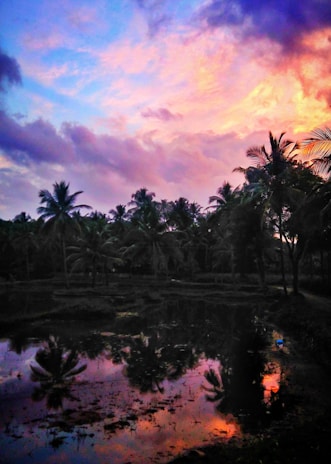 A vibrant California sunset reflecting the lifestyle promoted by Vibes of the Mind's Eye.