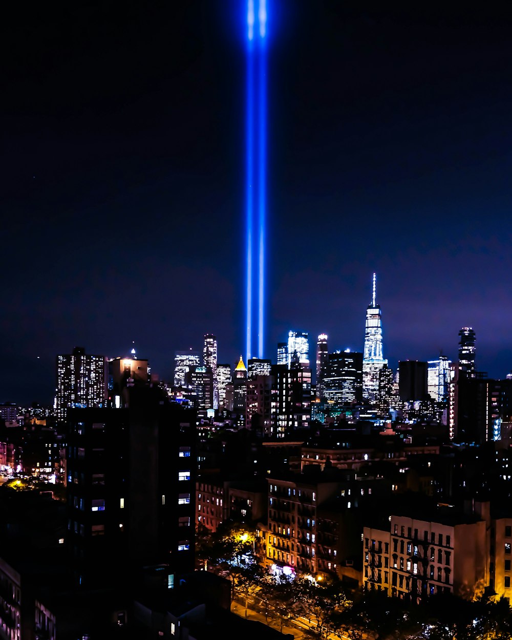 city skyline during night time