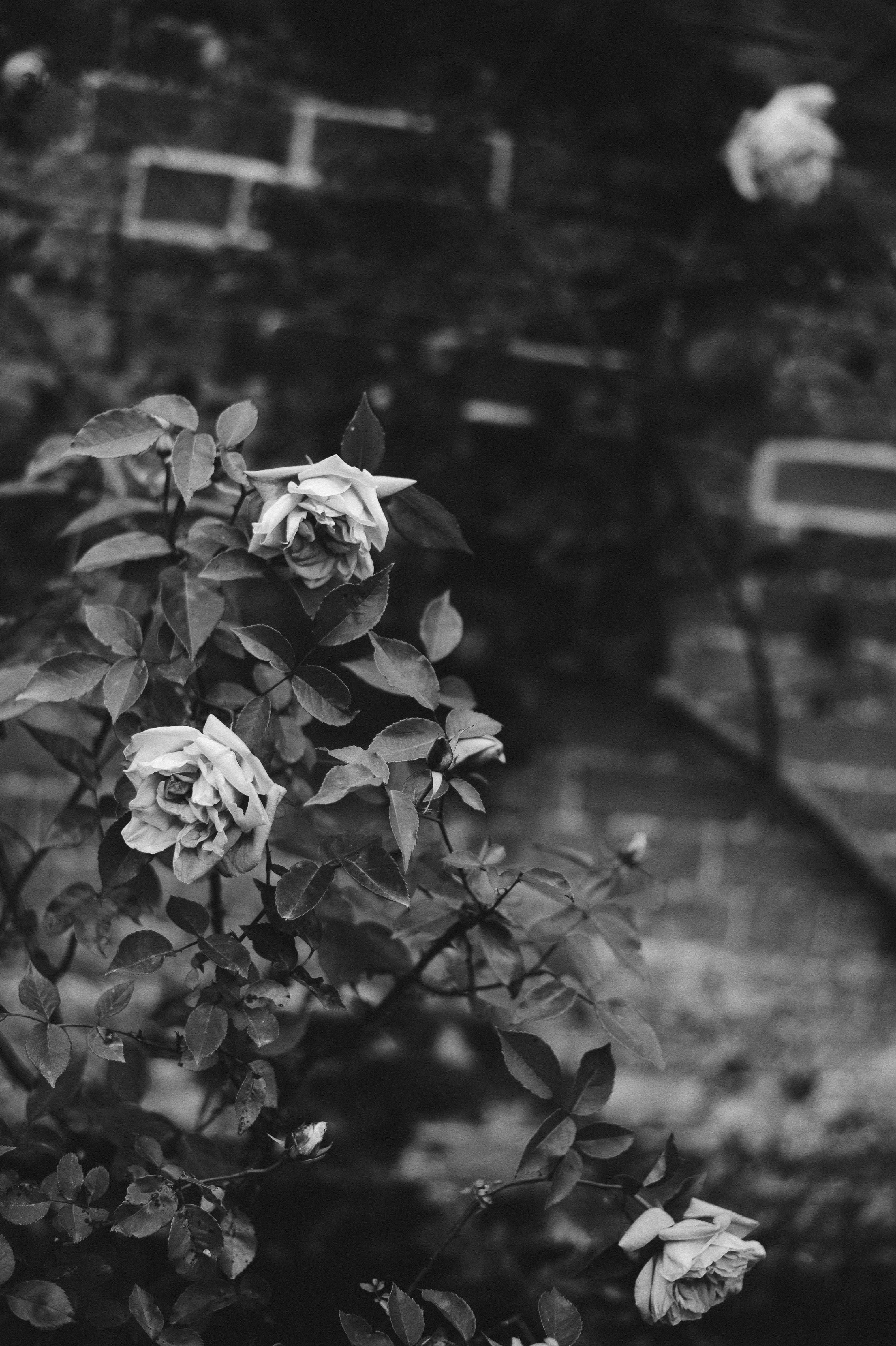 Photo by anniespratt