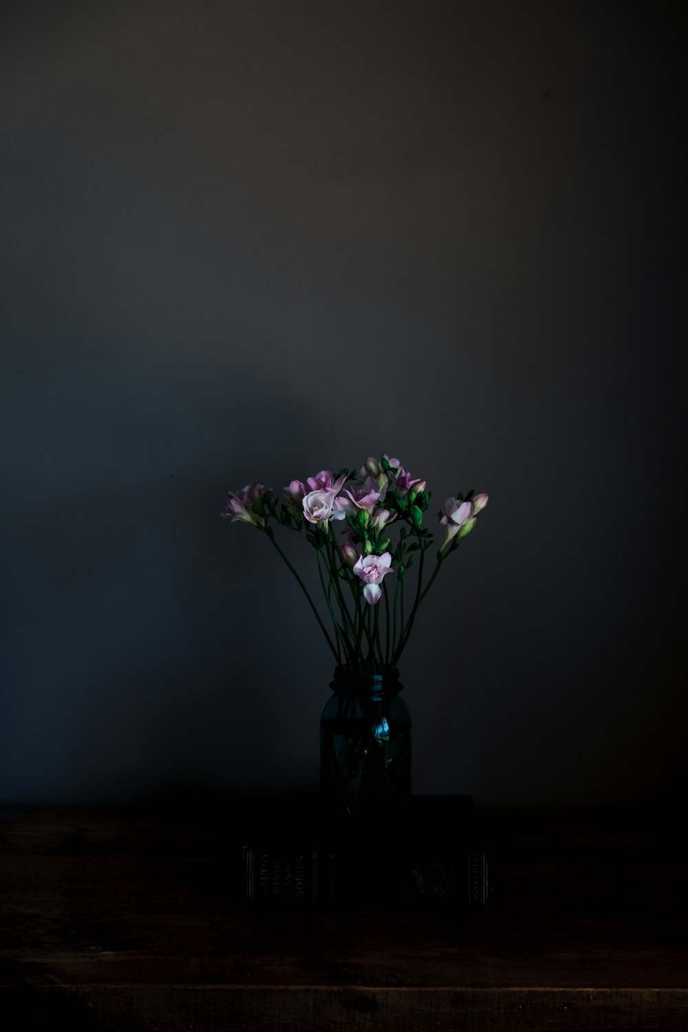 purple and pink flowers beside wall