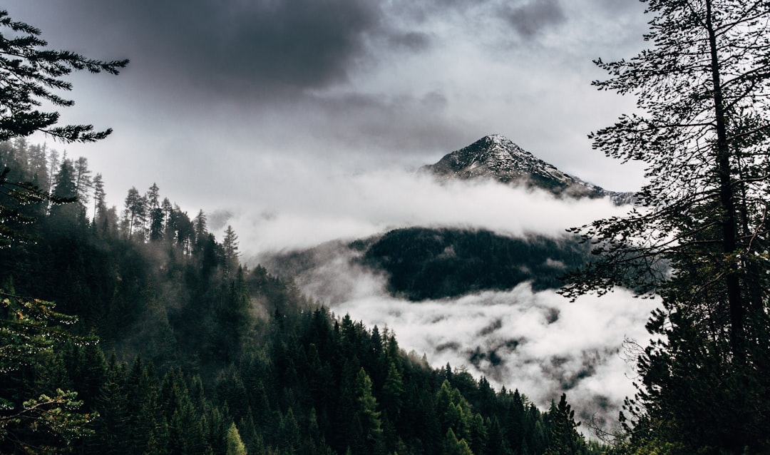 Forest photo spot Tyrol Innsbruck