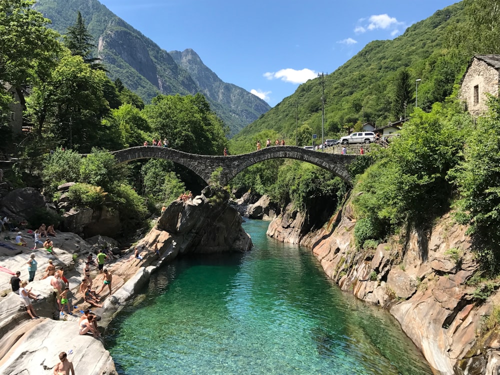 gray bridge surrounded green trees in landscape photography