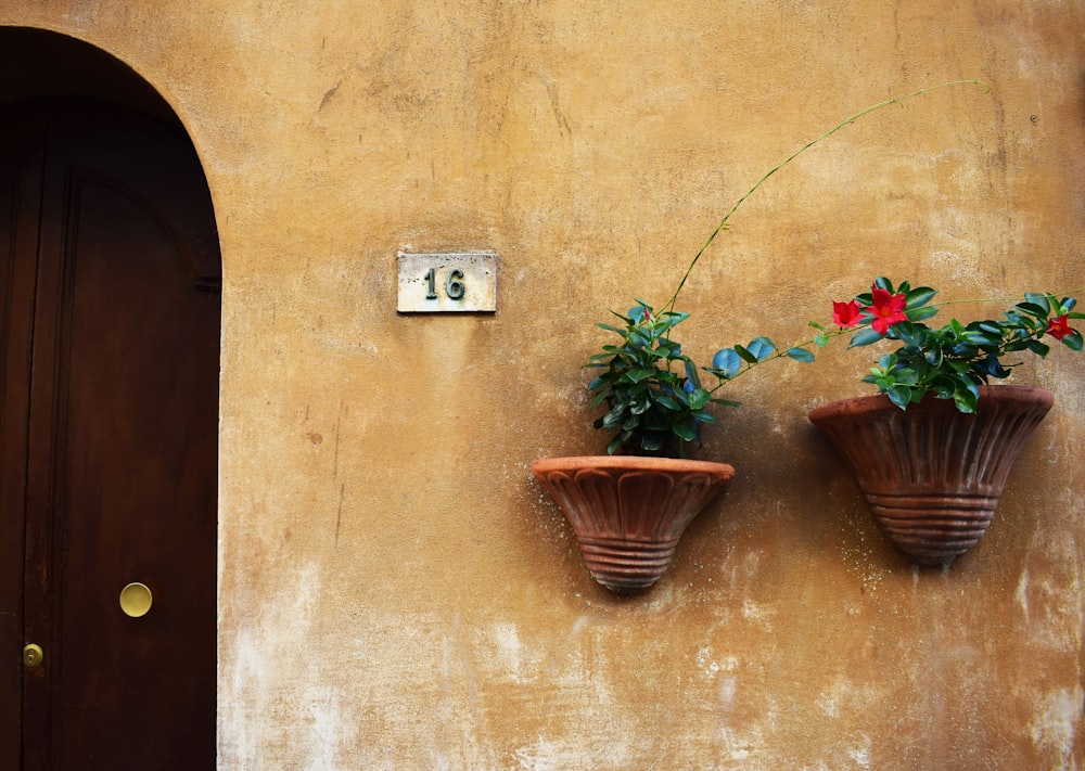 two brown concrete planters on brown painted wall