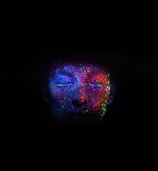 women's face with glitters