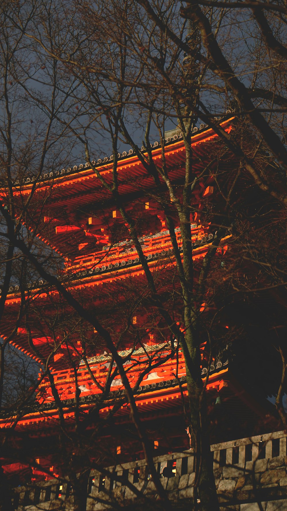 夜の木々に囲まれた赤い寺院