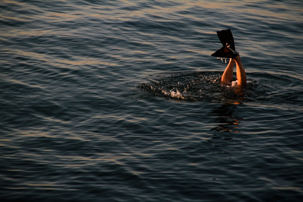 person dives in body of water