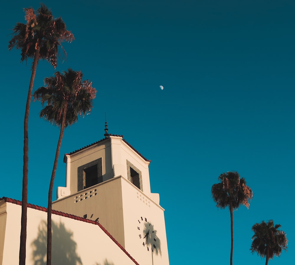 white concrete building and palm trees during daytime