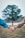 two persons holding hands