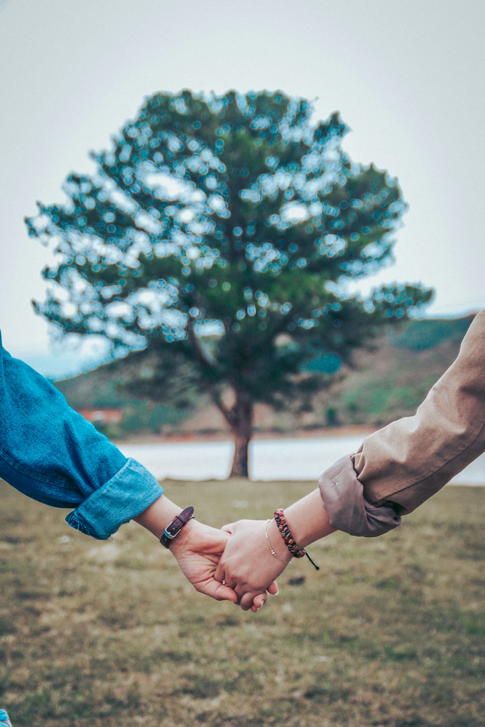 two persons holding hands