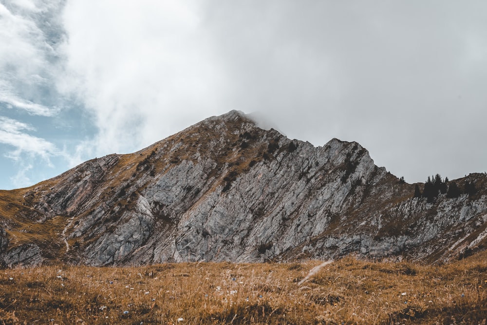 Montaña Marrón