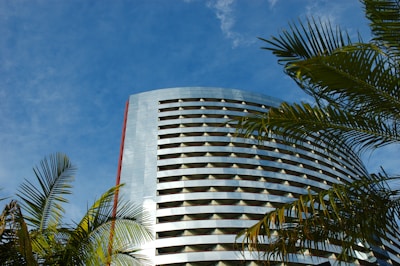 A modern event portacabin with large windows and clean lines, surrounded by palm trees.