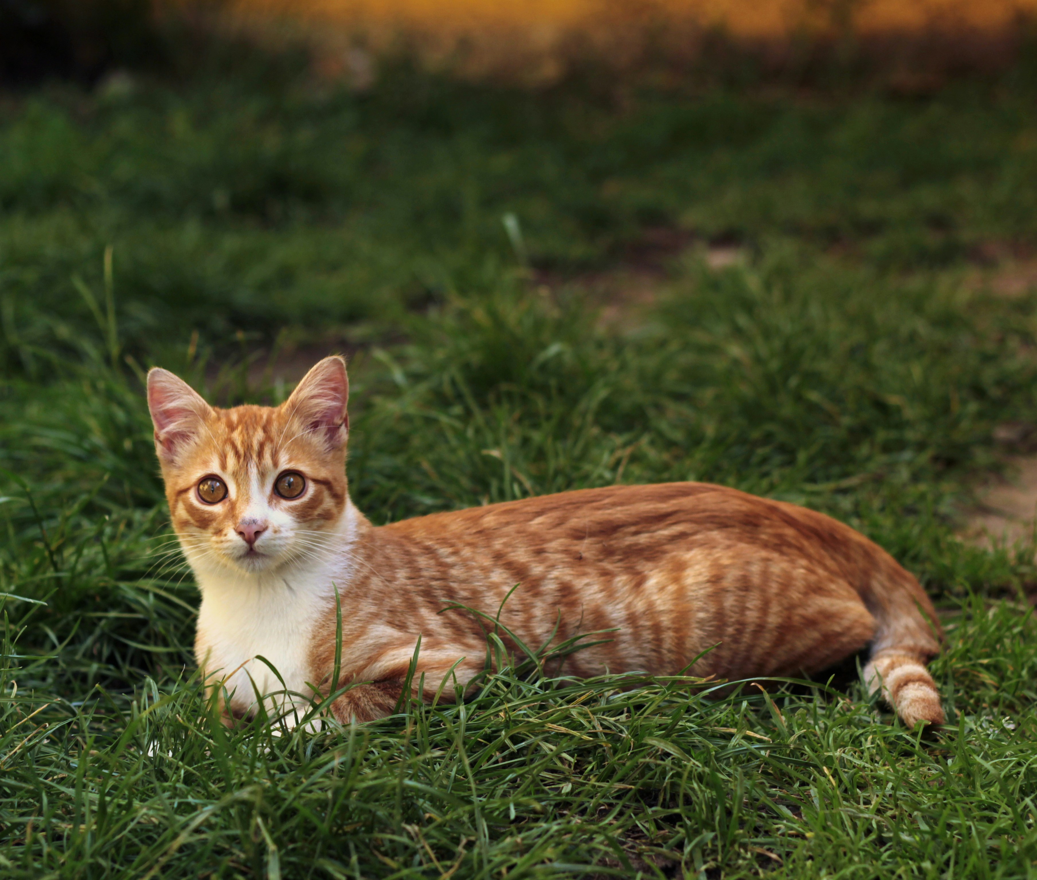 photo-1506025535340-87eee3e34946?ixlib=rb-1.2.1&ixid=eyJhcHBfaWQiOjEyMDd9&auto=format&fit=crop&w=1189&q=80