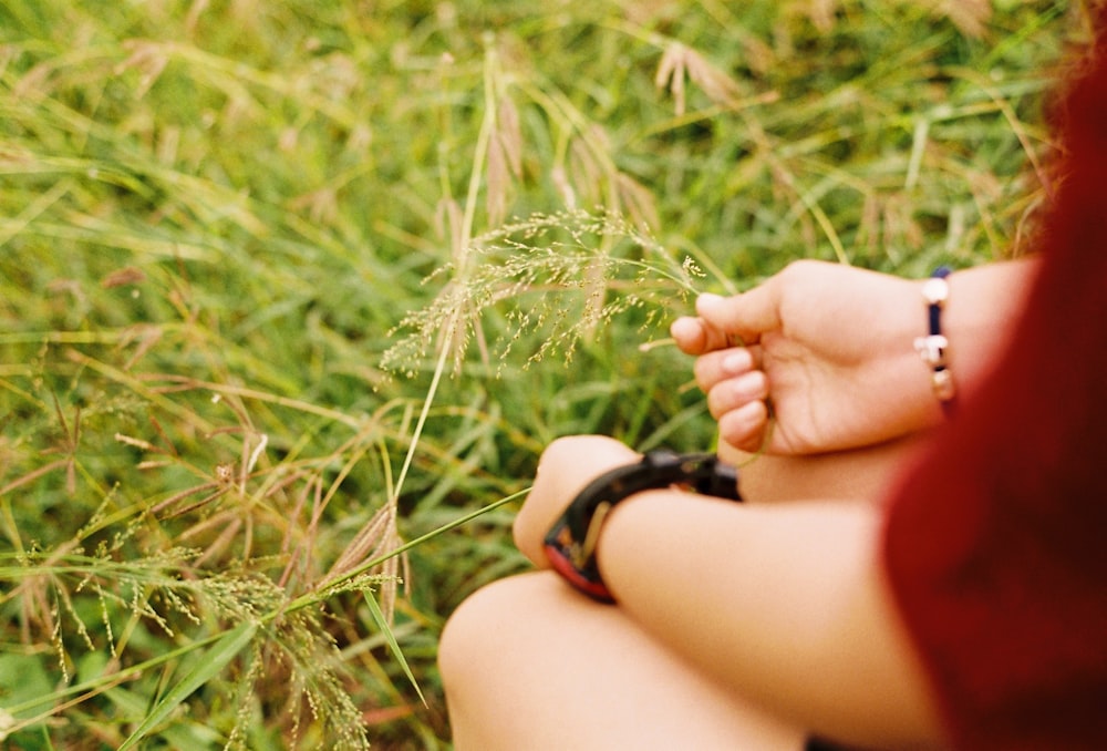 person picking plants