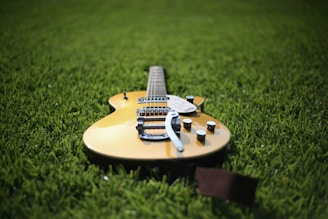 jazz acoustic guitar on lawn