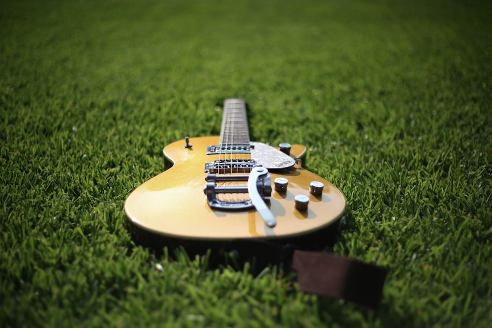 芝生の上のジャズアコースティックギター