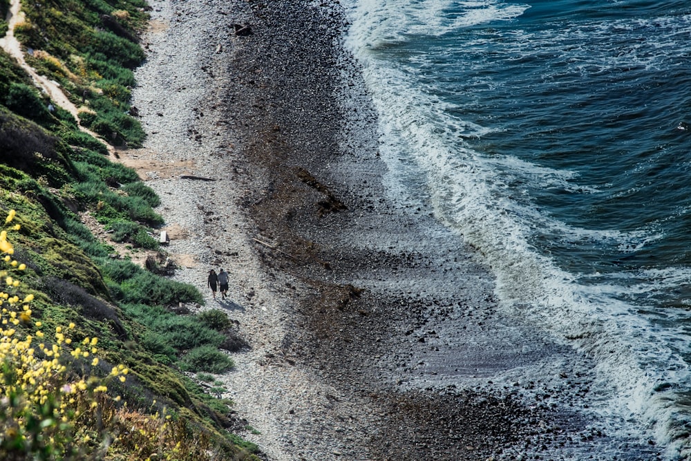 two person walking on seashore during daytime