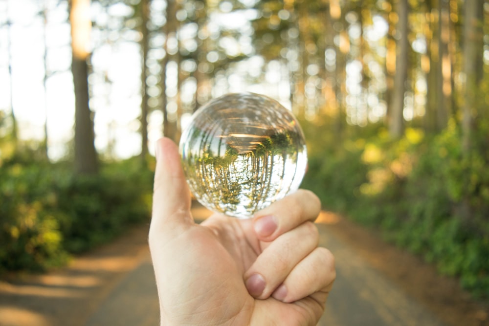 person holding clear glass ball