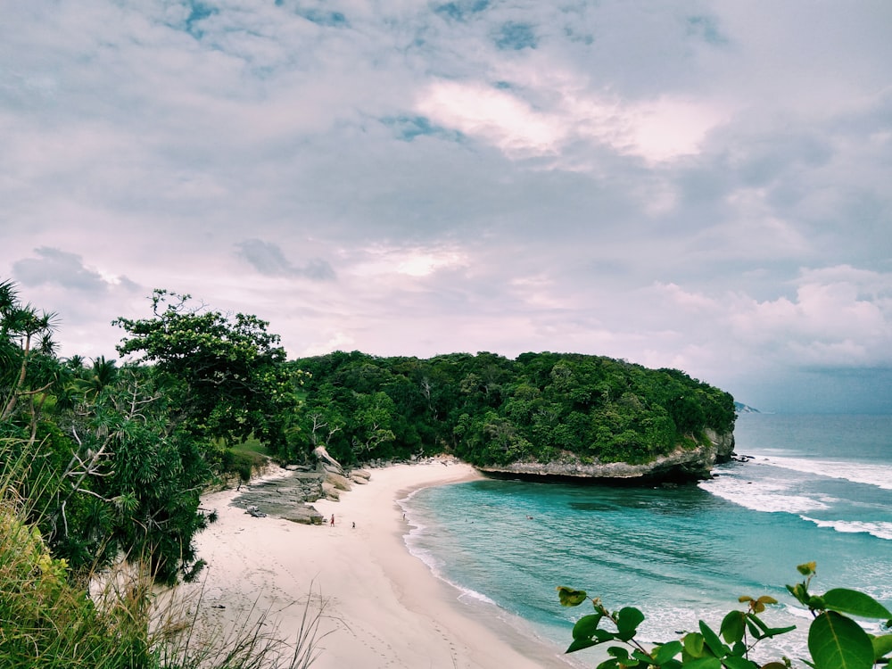 white sand beach under white sky