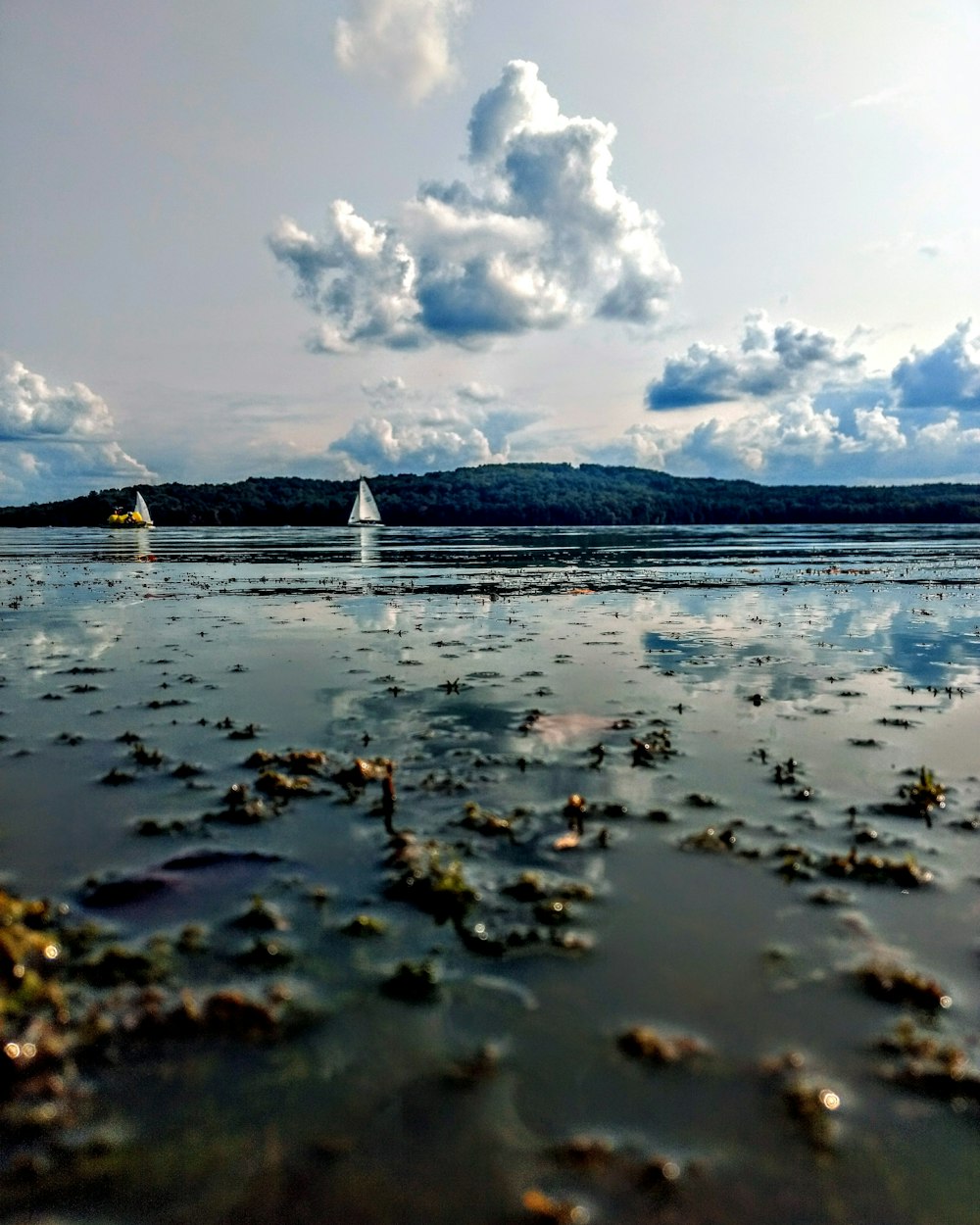 photo of body of water during daytime