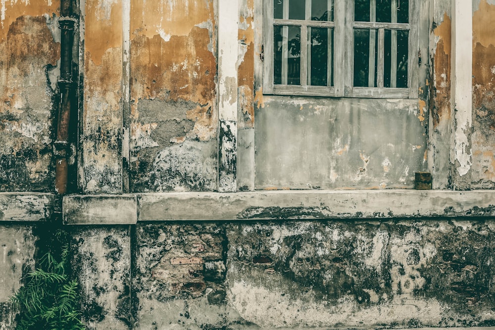 shallow focus photography of gray wooden door