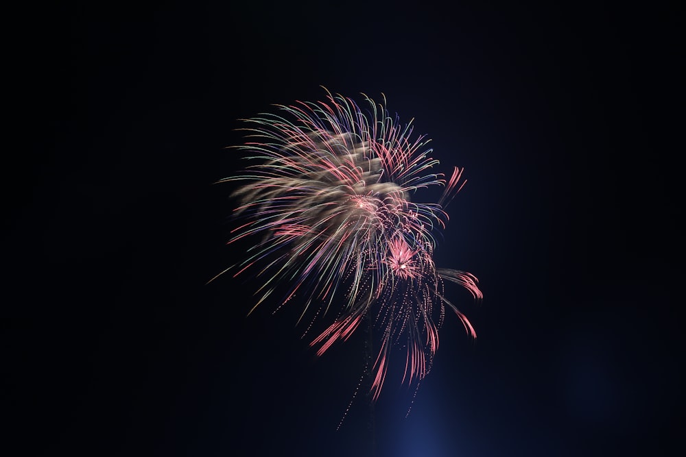 fireworks under night sky