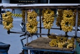 Multiple bunches of ripe bananas are hanging on a wooden cart by the roadside. The scene includes a street setting with a motorcycle and some pedestrians in the background. The bananas are vividly yellow, creating a vibrant contrast against the urban backdrop.