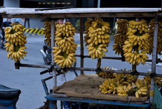 Delivery truck loaded with fresh G9 bananas ready to leave Kolar.