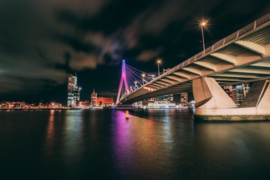 concrete bridge during nighttime in Erasmusbrug Netherlands