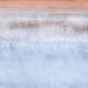 Silent Horizon
