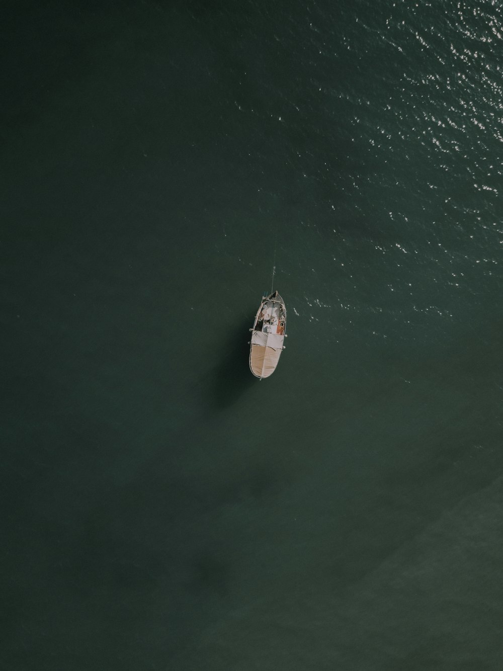 Braunes Boot auf grünem Meer während des Tages