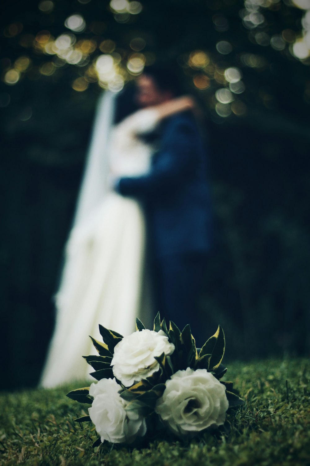 closeup photo of white petaled flowers