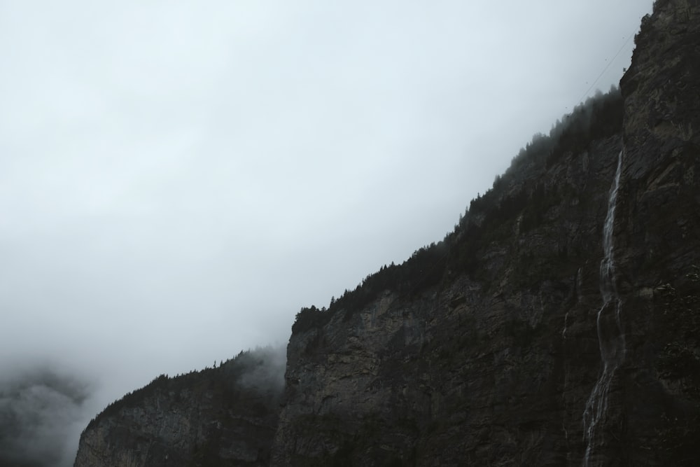 gray cliff covering with fog