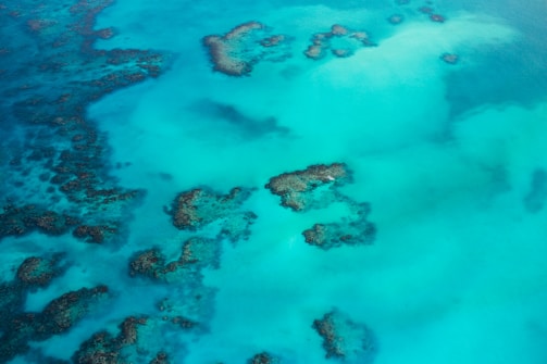 An aerial view of a vibrant coral reef surrounded by clear turquoise water. The reefs form uneven patches across the image, displaying a mix of light and dark areas where the ocean floor dips and rises.