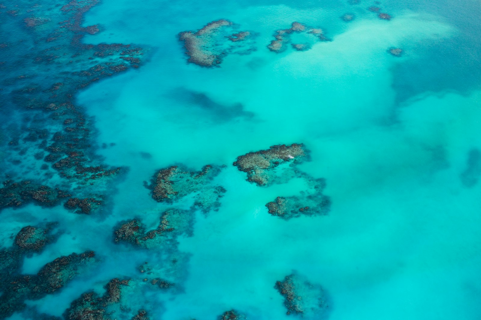 Canon EOS 60D + Canon EF-S 24mm F2.8 STM sample photo. Great reef barrier photography