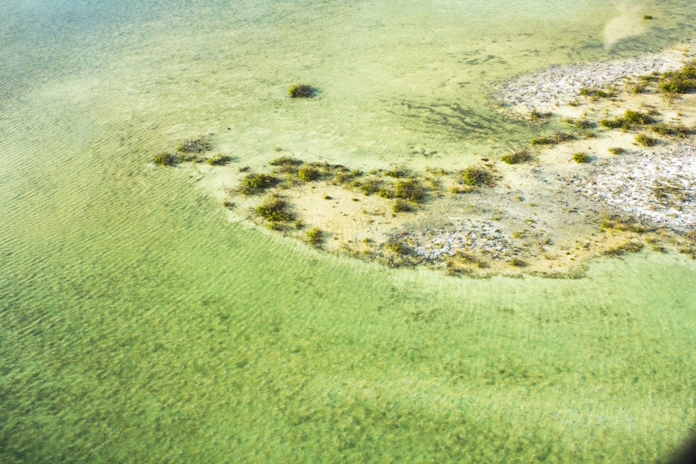 aerial photo of green meadows