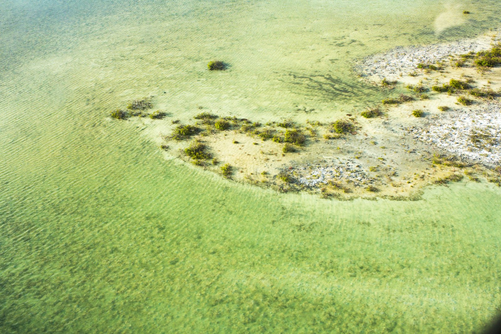 Canon EOS 60D + Canon EF-S 24mm F2.8 STM sample photo. Aerial photo of green photography