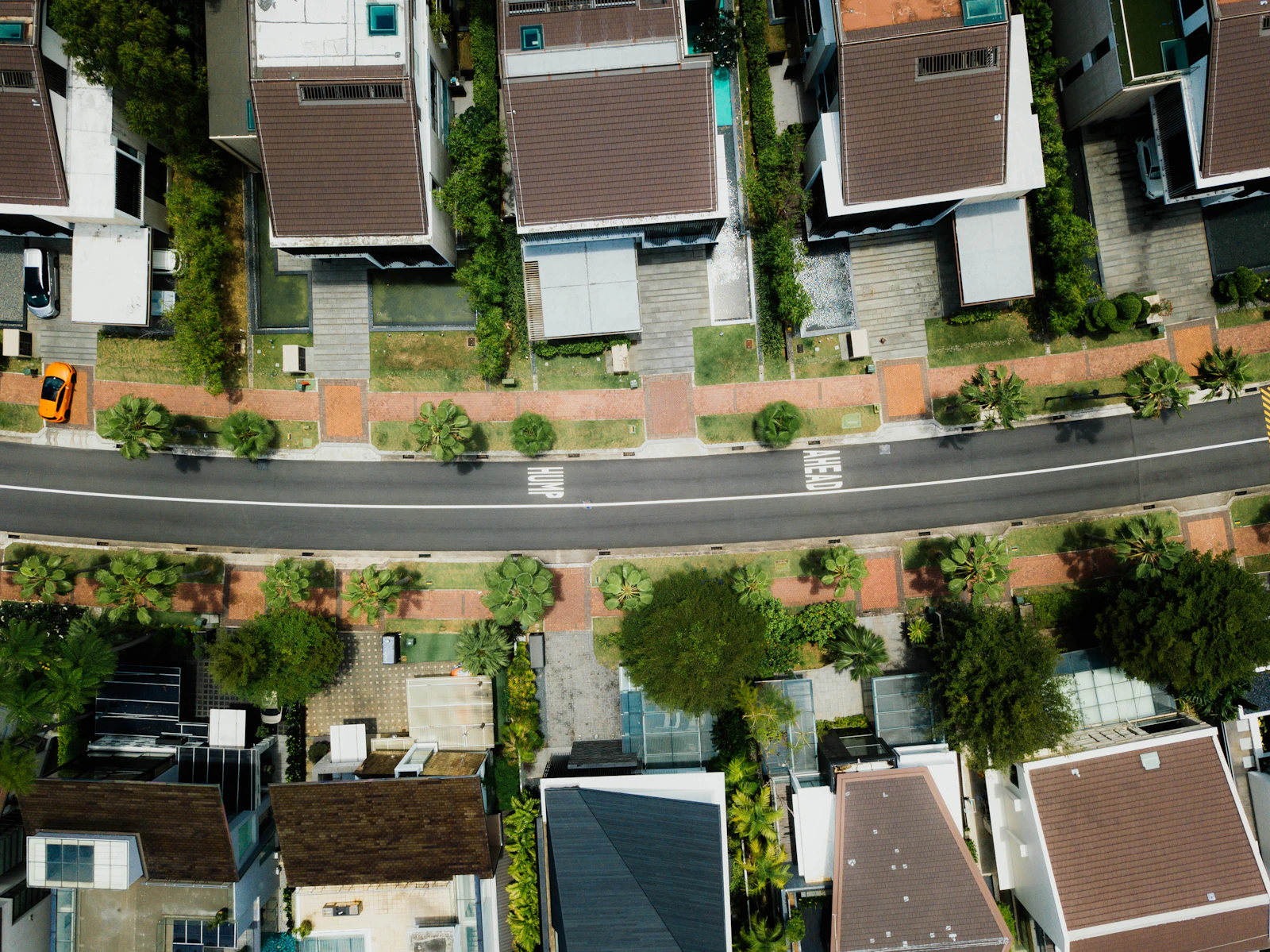 Rua residencial arborizada