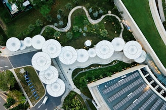aerial photography of city building