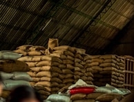 A large pile of burlap sacks is stacked under a corrugated metal roof in a warehouse. The sacks appear to be filled with goods, possibly agricultural products. The lighting is dim, and there is a mix of beige, red, and blue sacks among the mostly brown pile.
