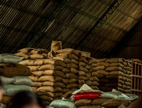 A large pile of burlap sacks is stacked under a corrugated metal roof in a warehouse. The sacks appear to be filled with goods, possibly agricultural products. The lighting is dim, and there is a mix of beige, red, and blue sacks among the mostly brown pile.